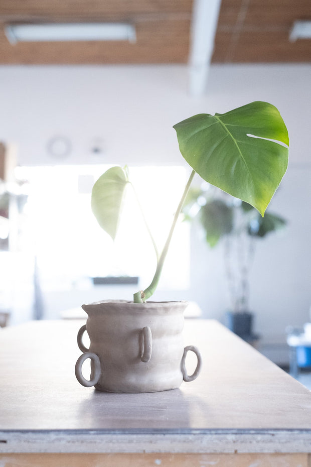 Add On Monstera Plant & Clay for Hand-building Workshop