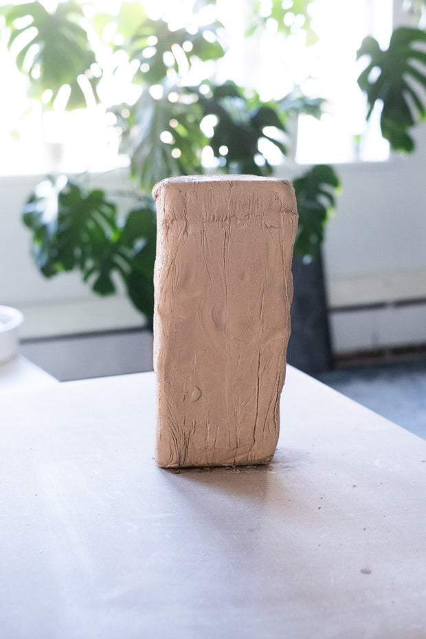 Speckled Buff Porcelain