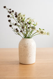Clear Small Bud Vase with Plants