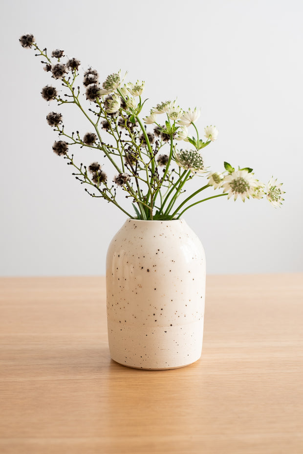 Clear Small Bud Vase with Plants