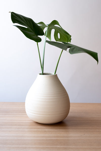 Limited Edition Large Round Vase with Plant