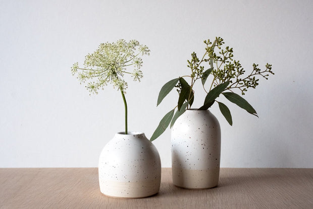 Clear Small Bud Vases with Plants