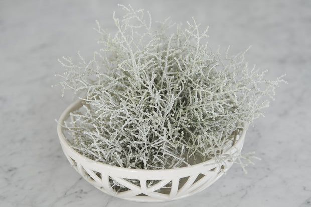 Fruit Bowl